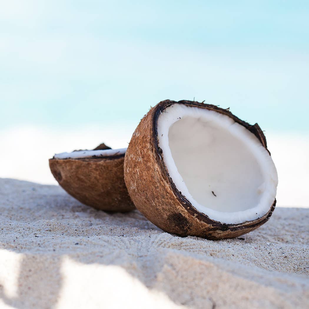16 oz Butter Jar Candle: White Driftwood & Coconut