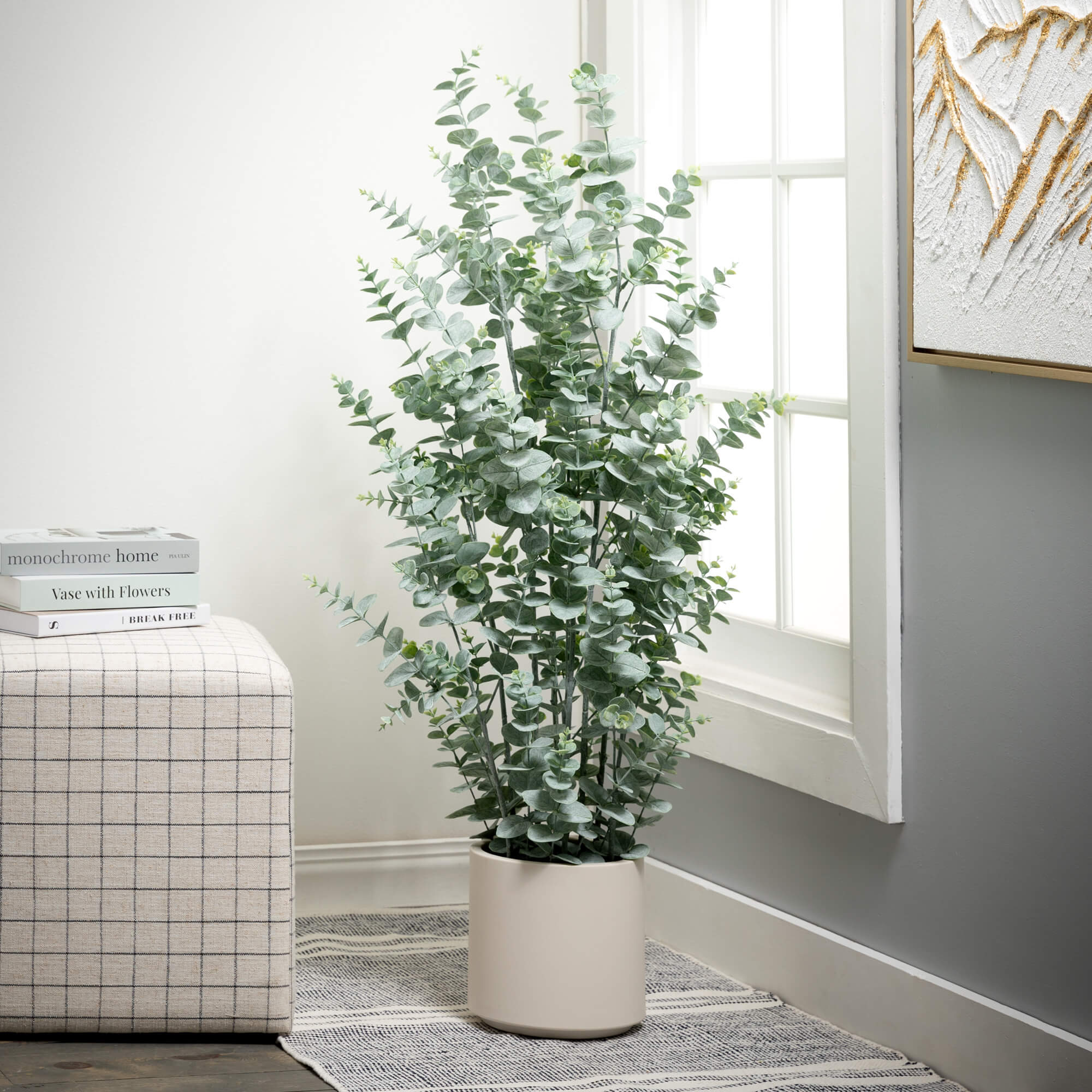 Potted Eucalyptus