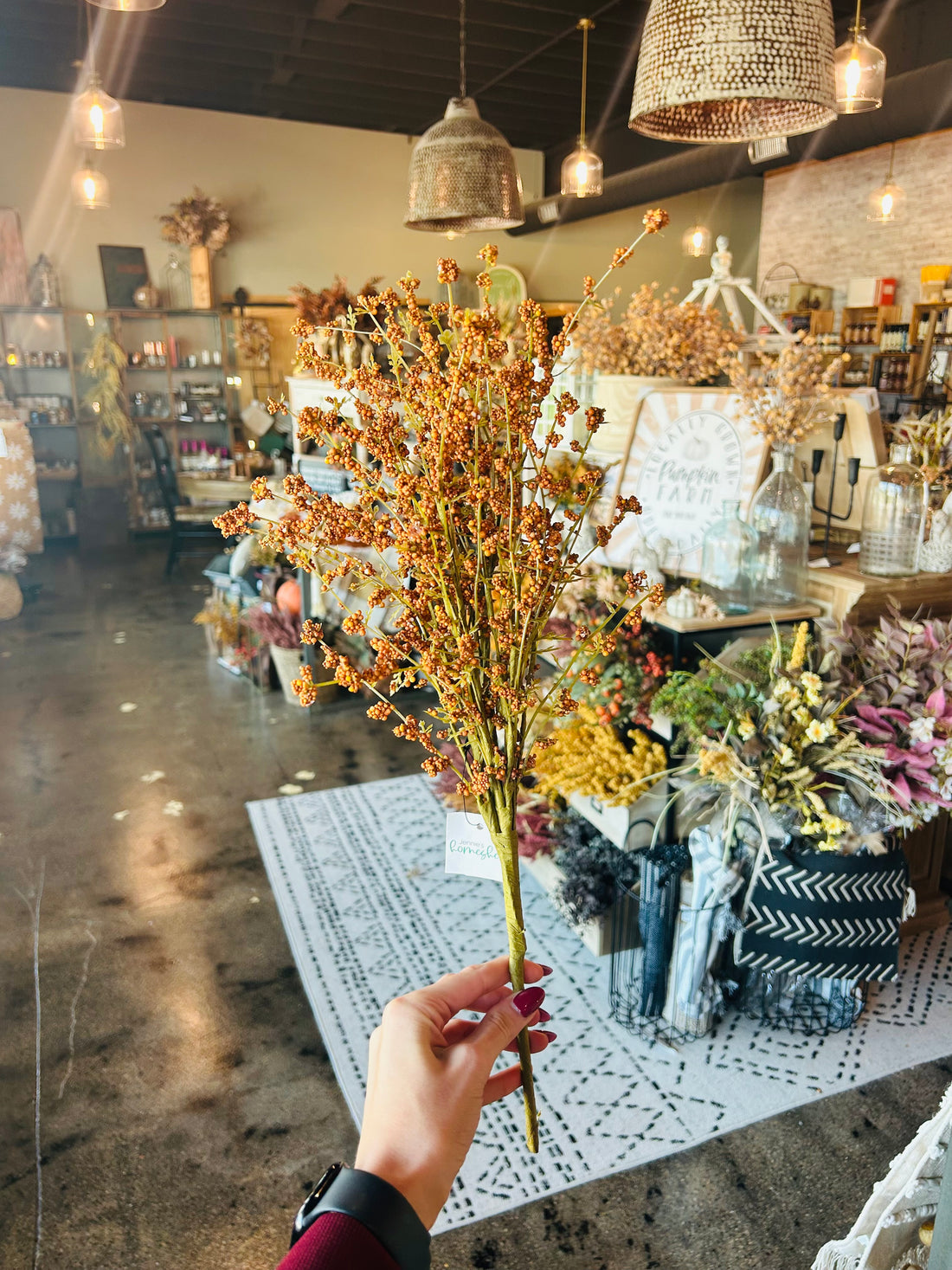 Hairy Pinweed Pick