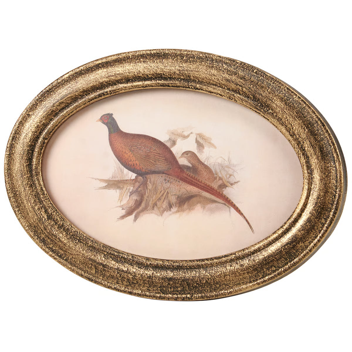 Pheasant Art