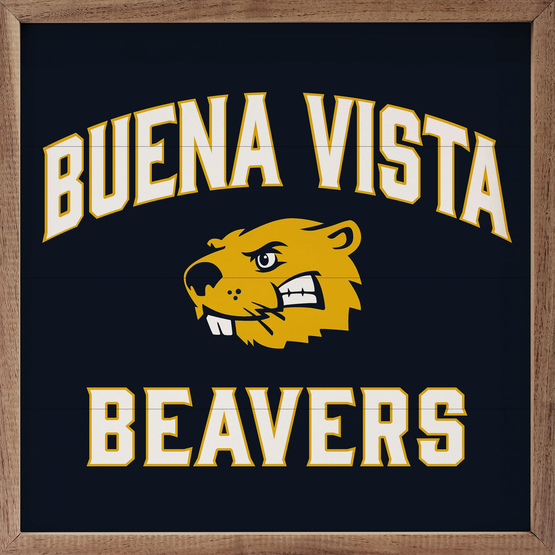 Arched Logo Buena Vista University