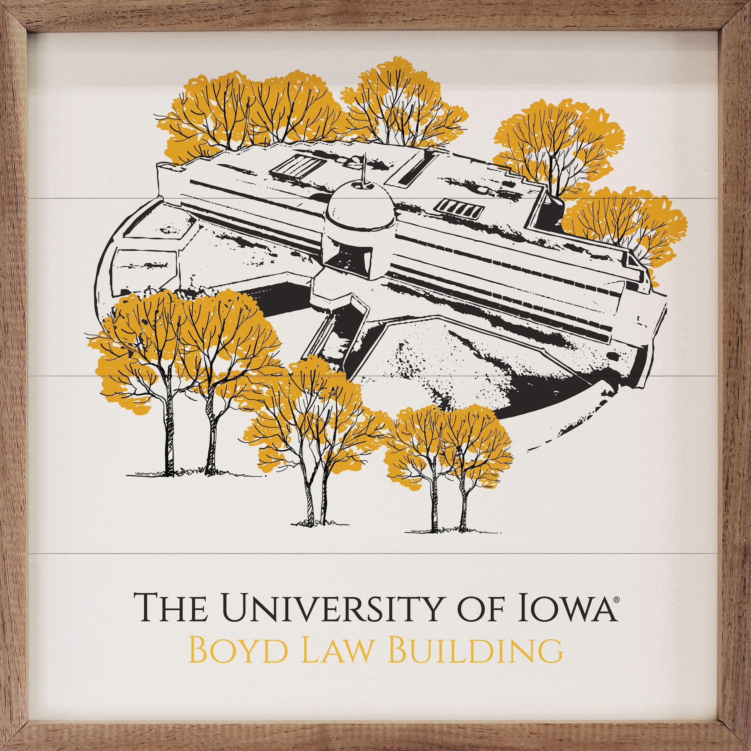 Sketch V Boyd Law Building University Of Iowa