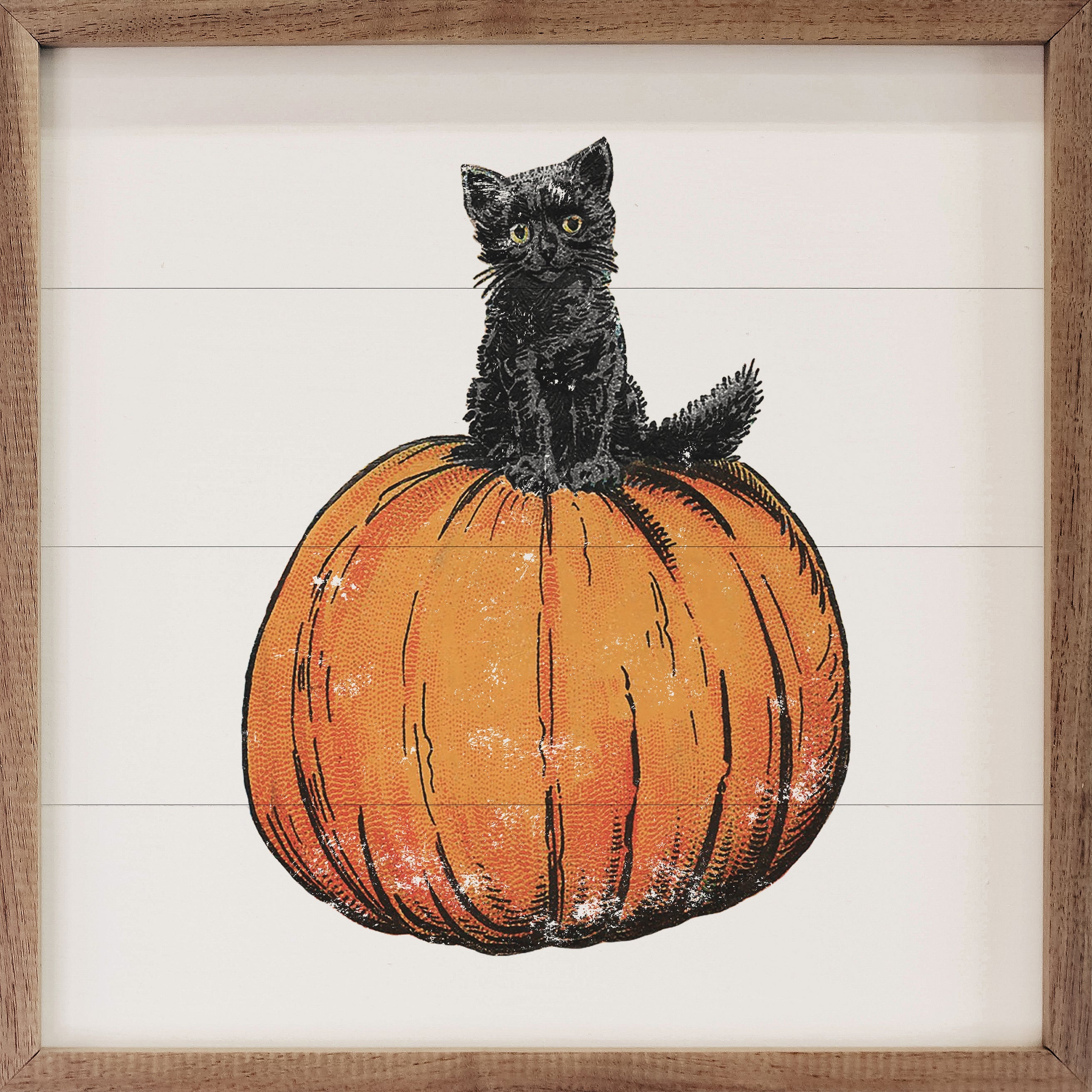 Vintage Halloween Cat On Pumpkin White