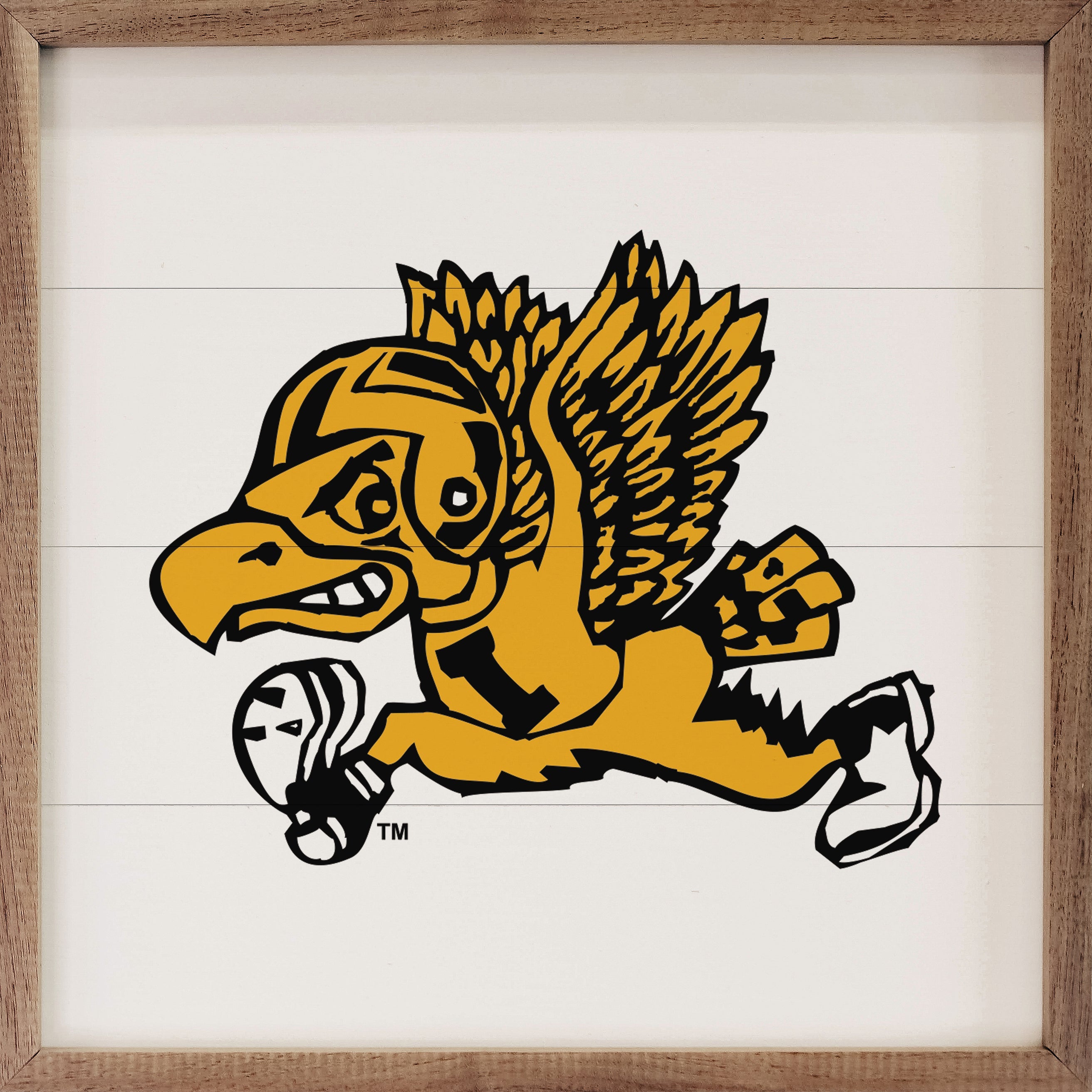 Vintage Running Football Herky University Of Iowa White