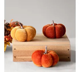 Mini Velvet Pumpkin Set