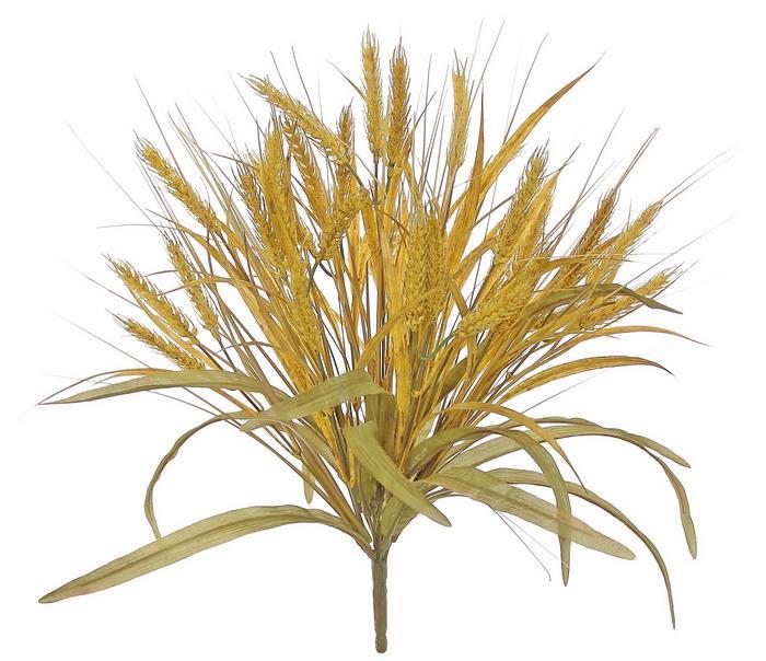 Gold Wheat Bush - 20"