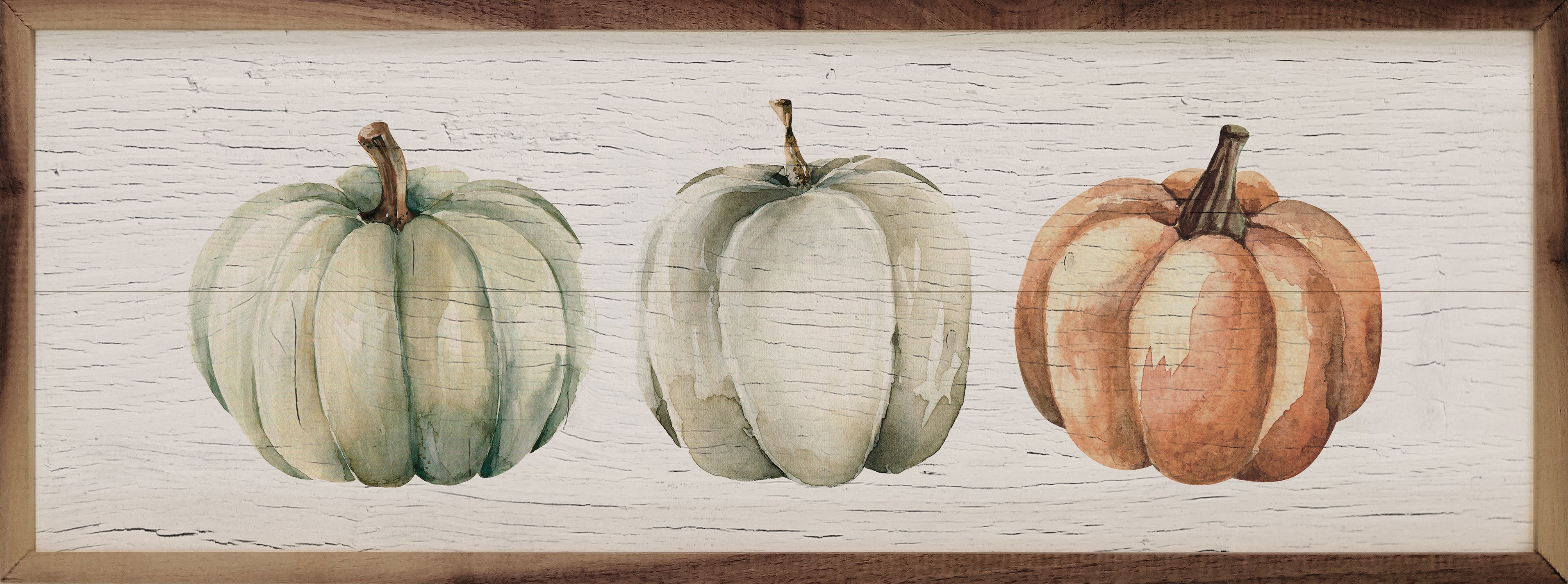 Three Pumpkins Orange Whitewash