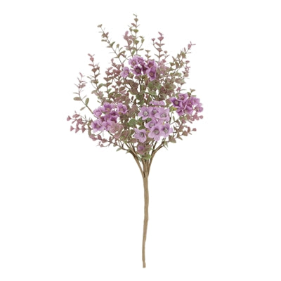 Purple Flower Bush