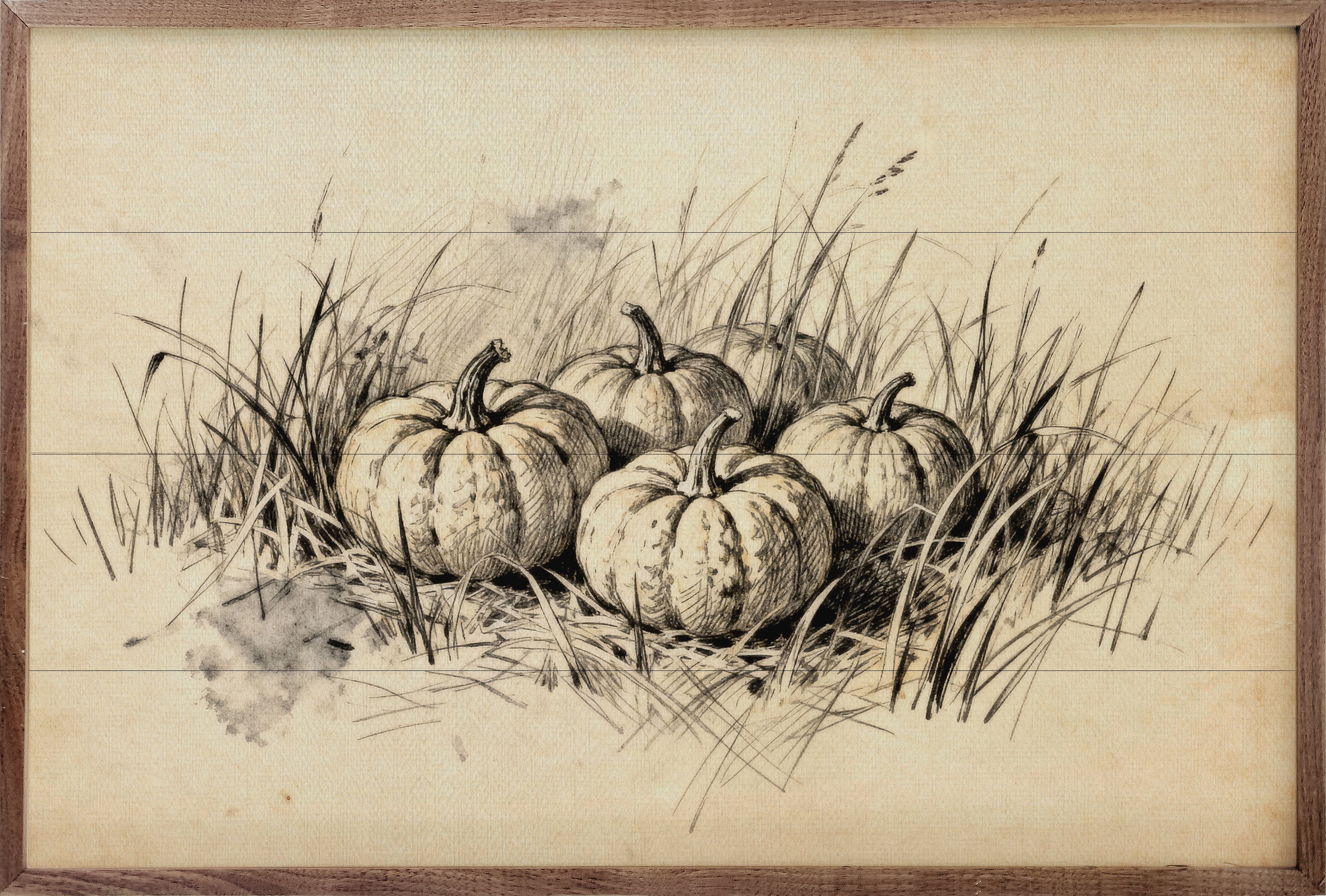 Pumpkins In Grass Simple