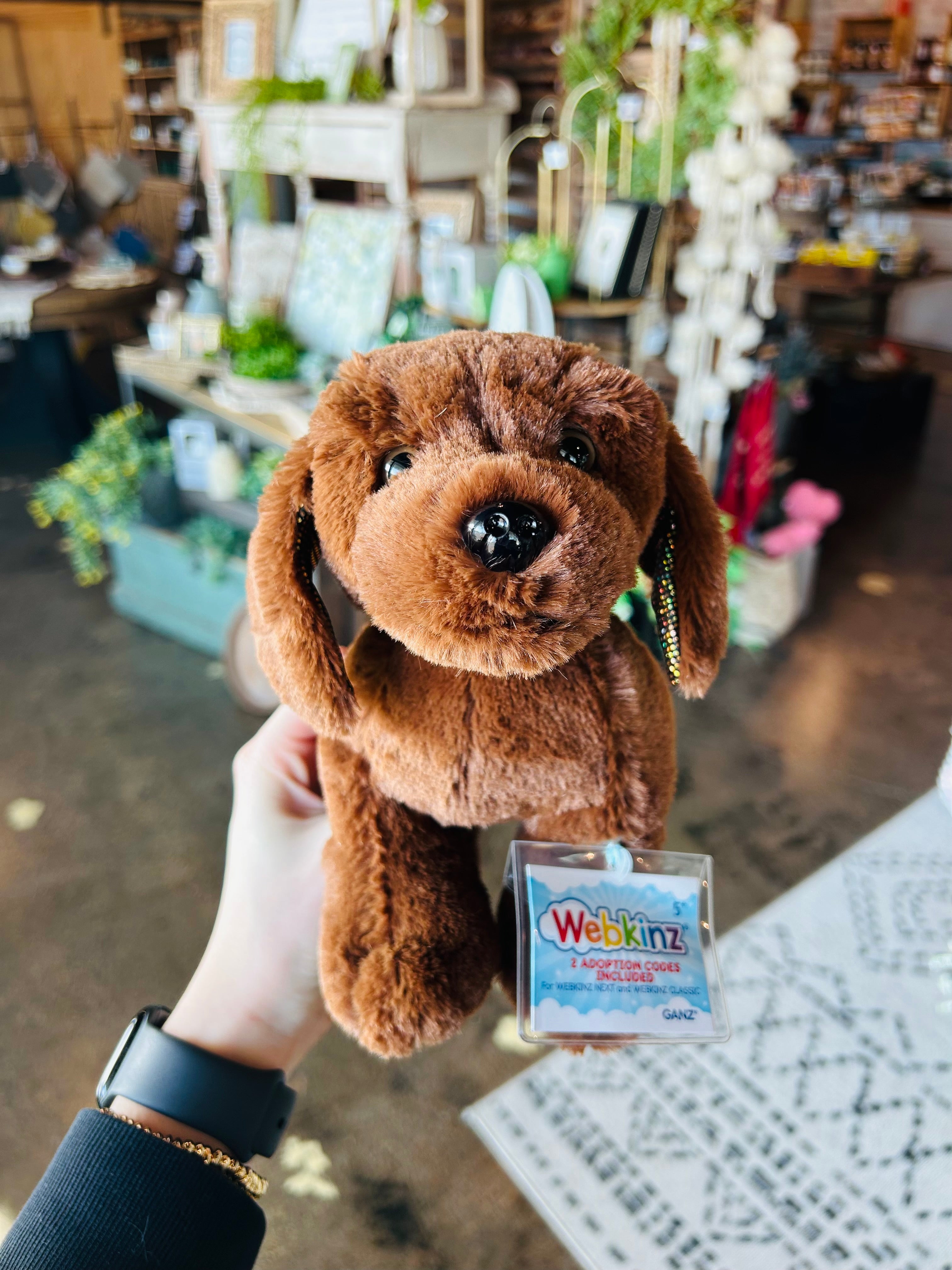 Webkinz