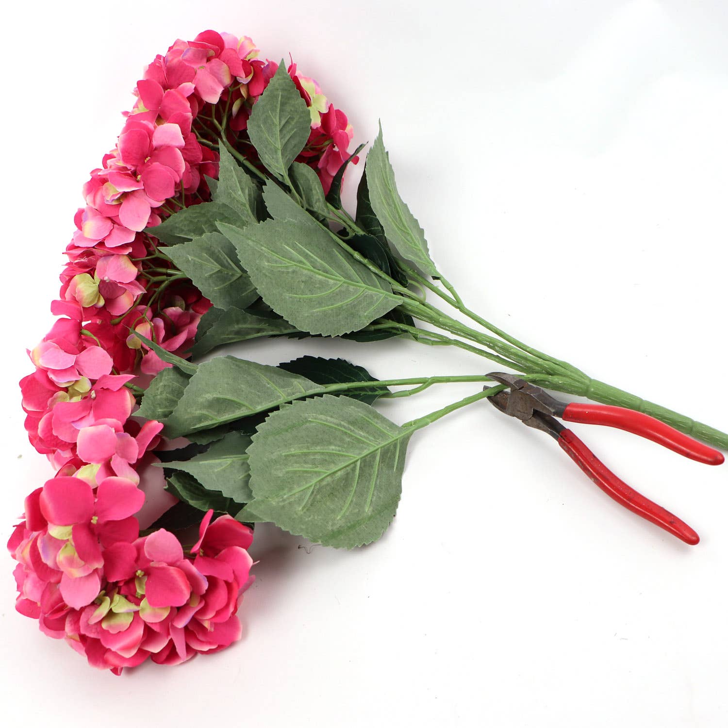 Fuchsia Hydrangea Bush
