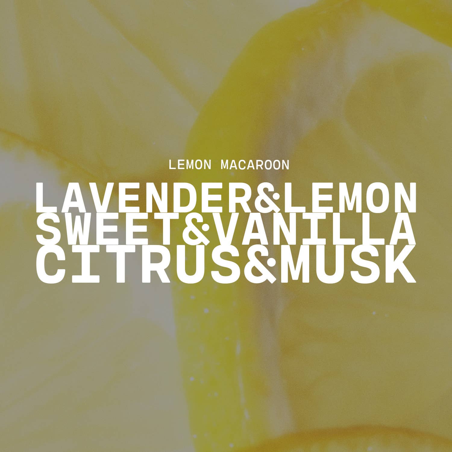 16 oz Butter Jar Candle: Lemon Macaroon