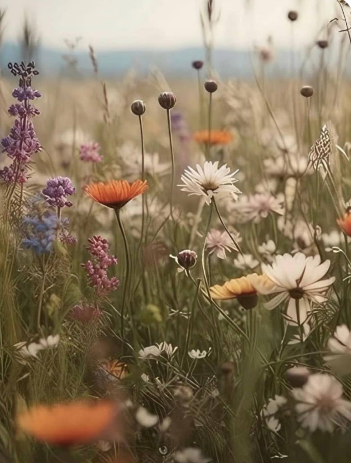 Prairie Flower Travel Tin
