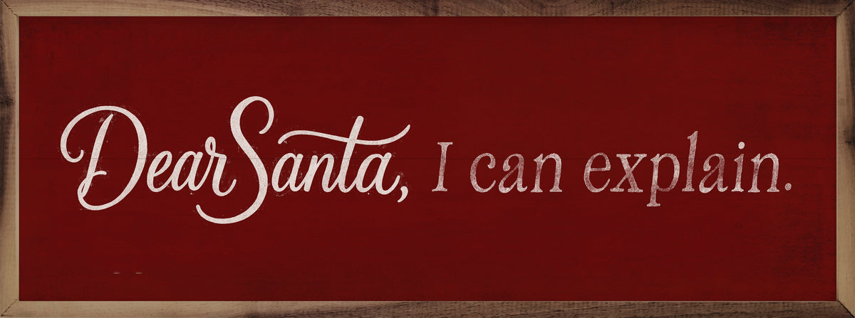 Dear Santa I Can Explain