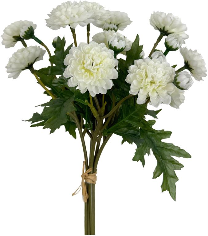 Wild Mum Bundle