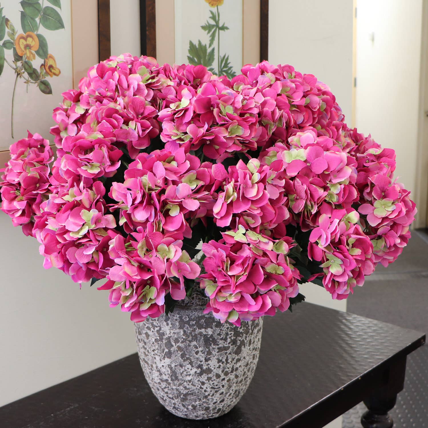 Fuchsia Hydrangea Bush