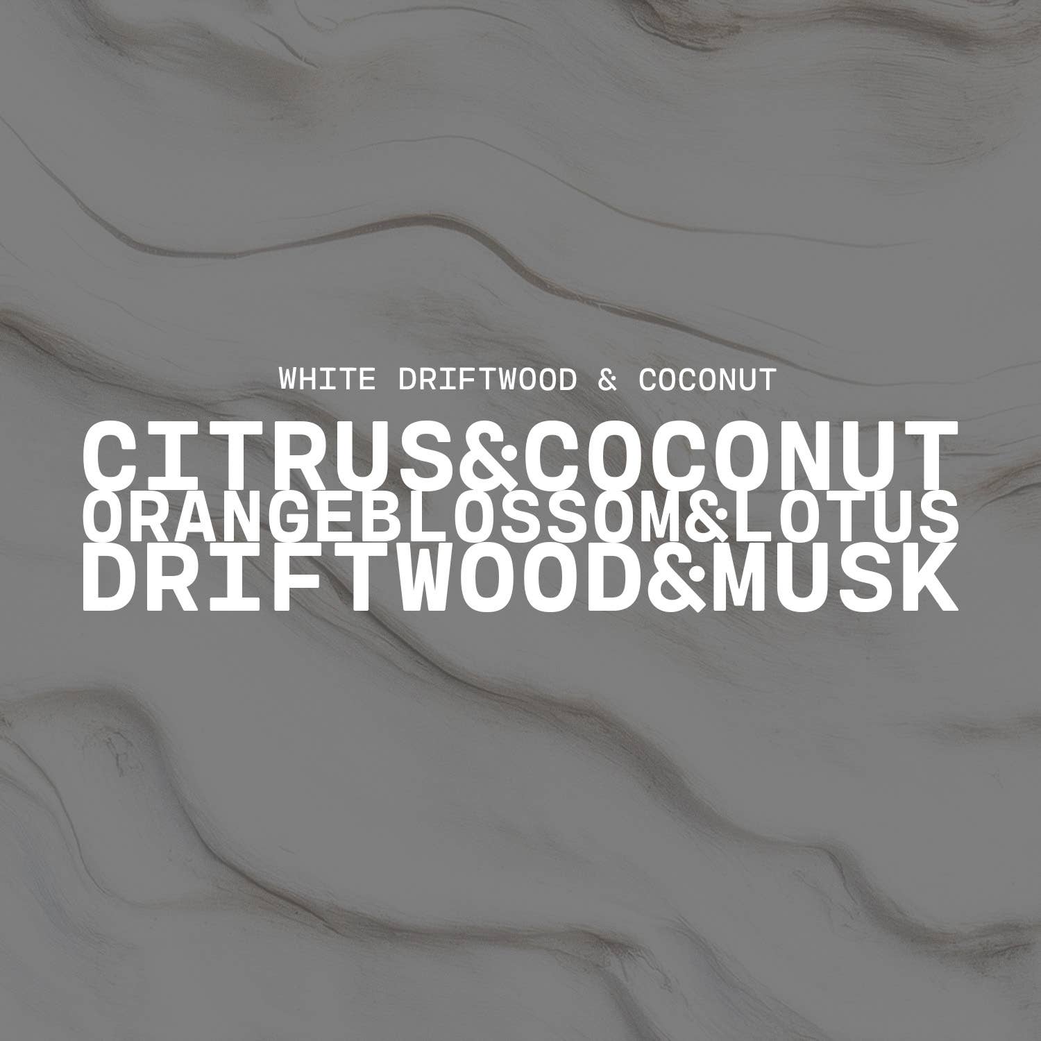 5.5 oz Wax Melts: White Driftwood & Coconut