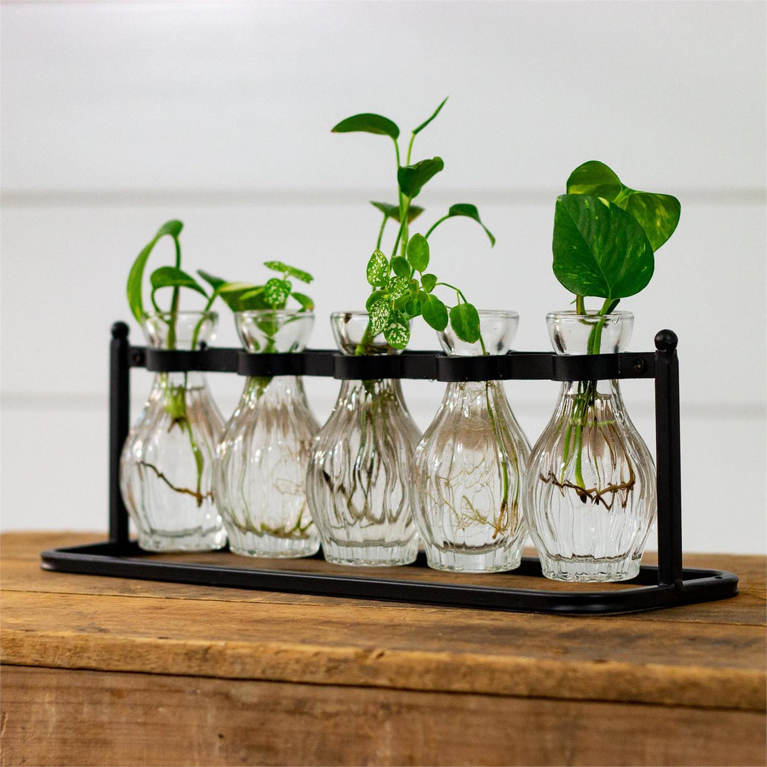 Cluster Bud Vase