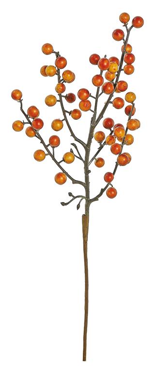 Berry Pick