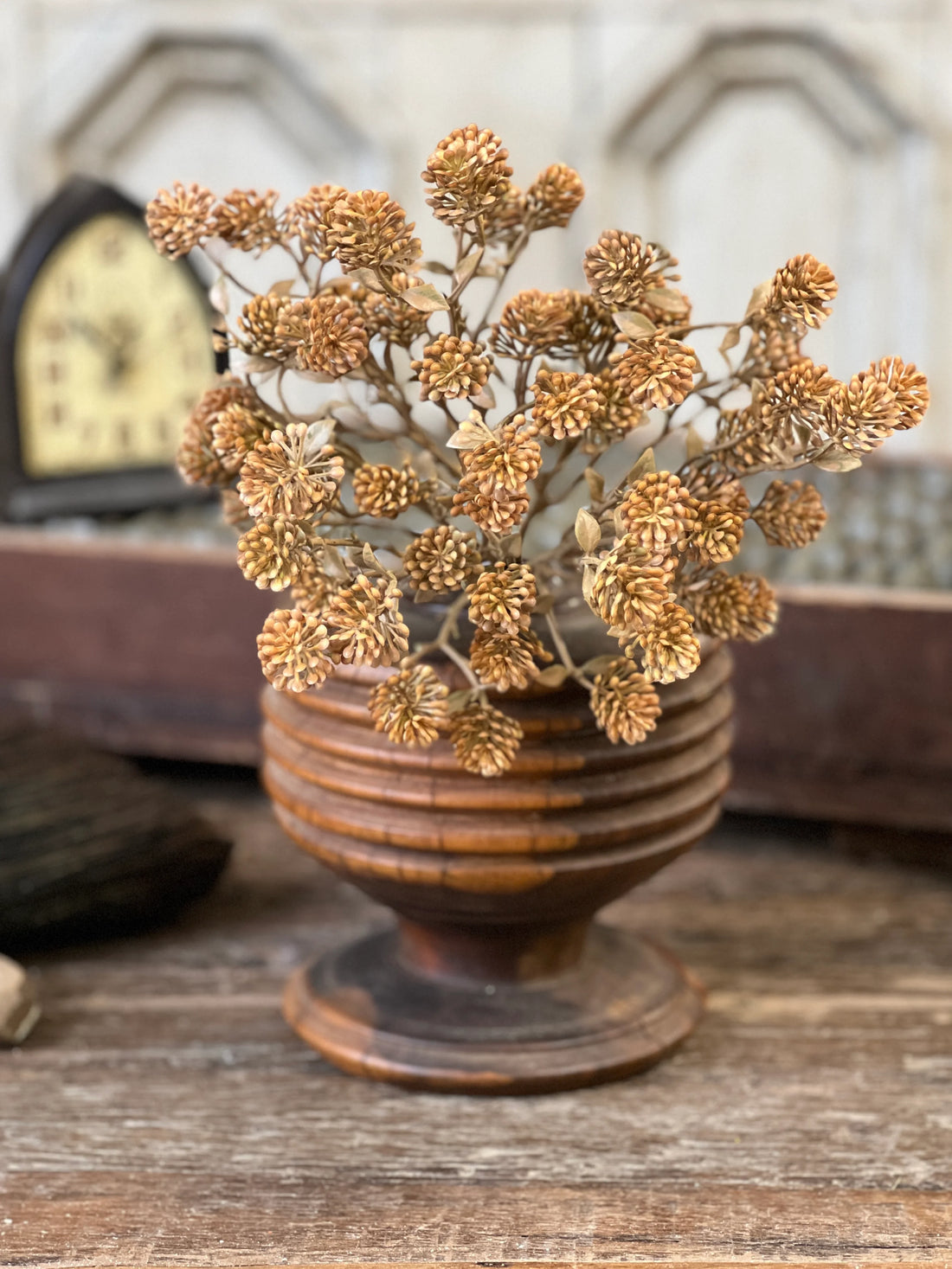 Russet Cone Bush