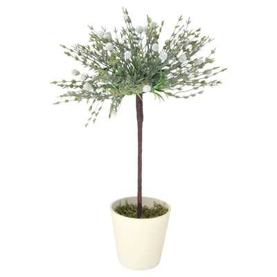 Billy Button Tree