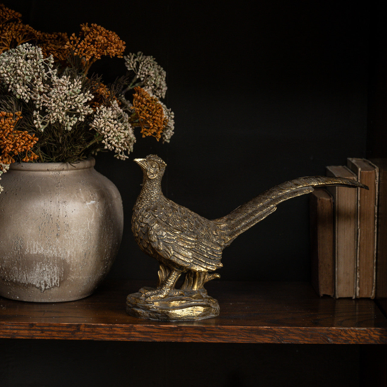 Gold Pheasant