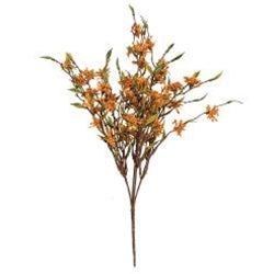 Fall Bliss Bud Bush