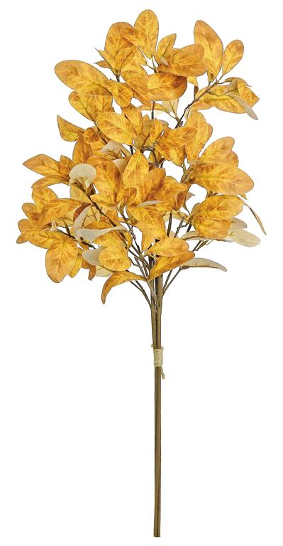 Autumn Laurel Leaf Bush