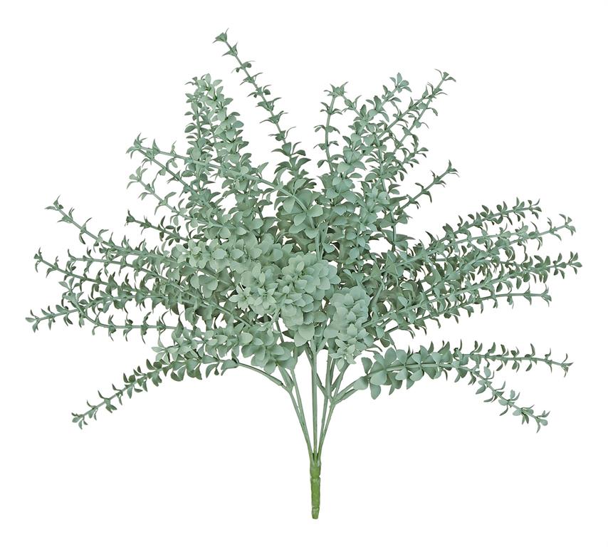 Heart Leaf Bush