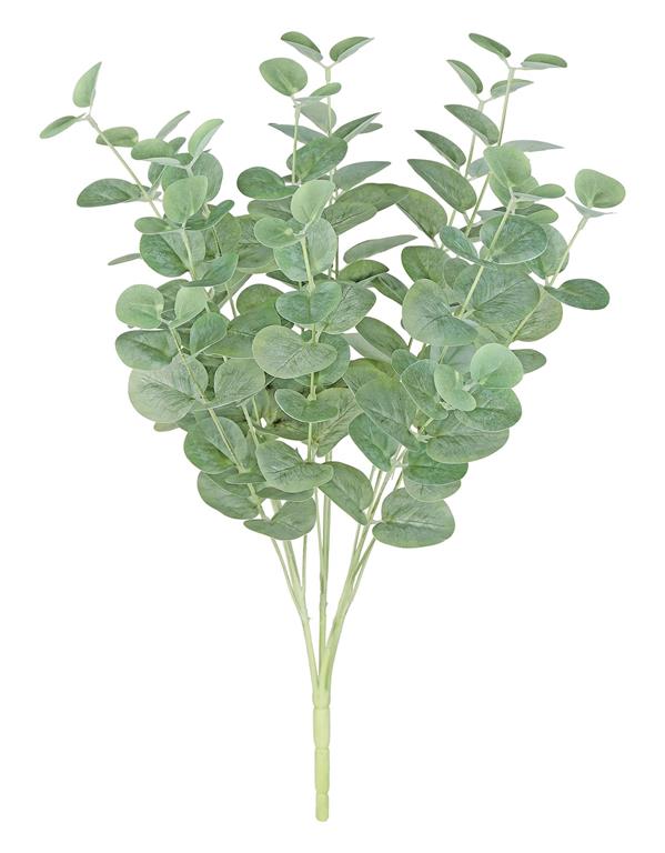 Light Eucalyptus Bush