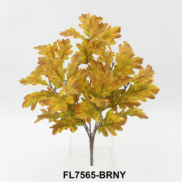 Oak Leaf Bush - 20"