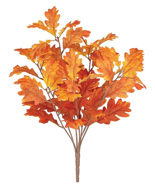 Oak Leaf Bush - 20"