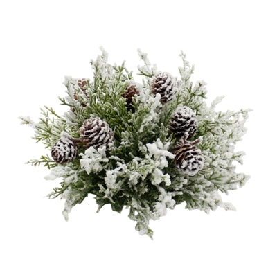 Snowy Arborvitae Orb