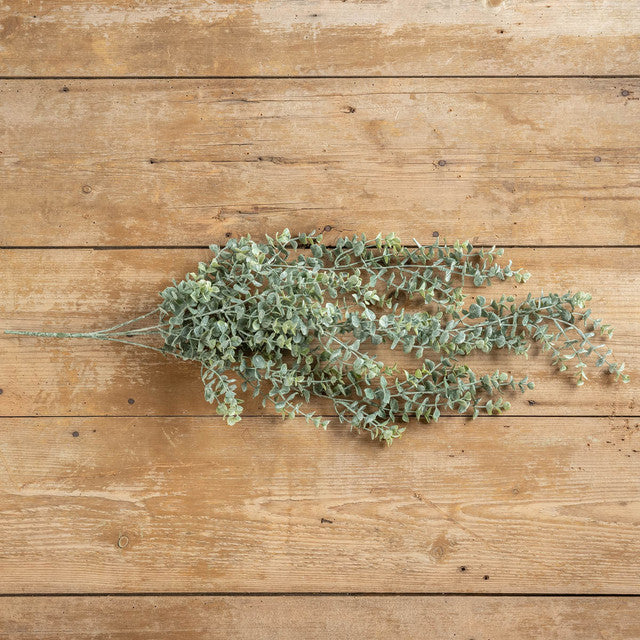Whitewash Eucalyptus Hanging Bush