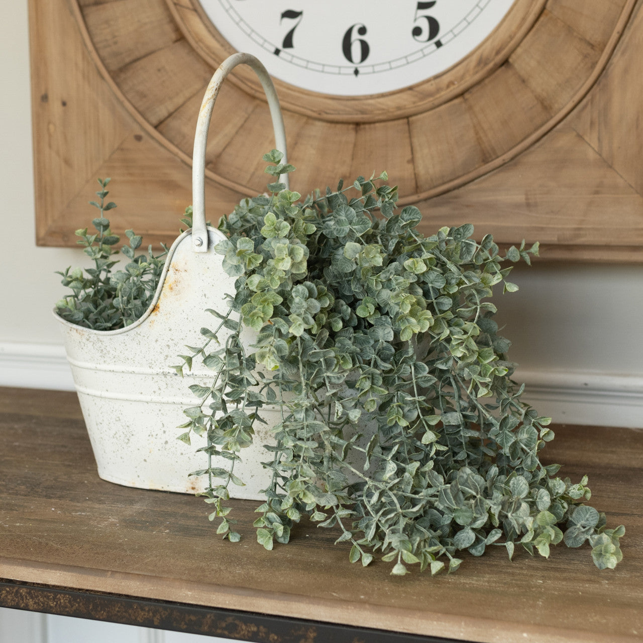 Whitewash Eucalyptus Hanging Bush