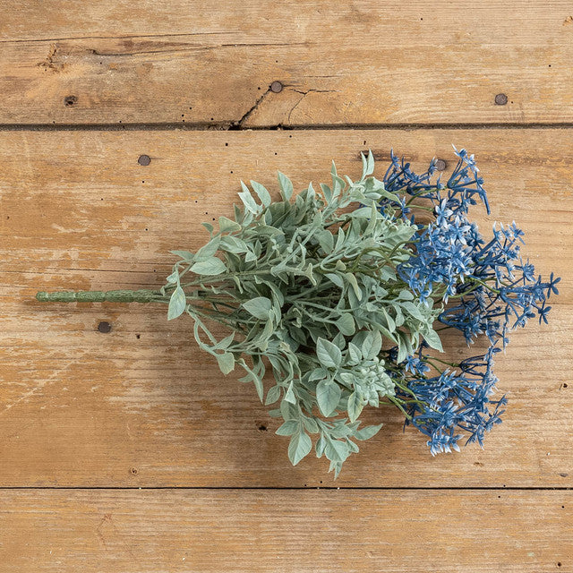 Blue Star Flower and Pea Leaf