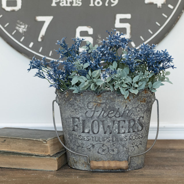 Blue Star Flower and Pea Leaf