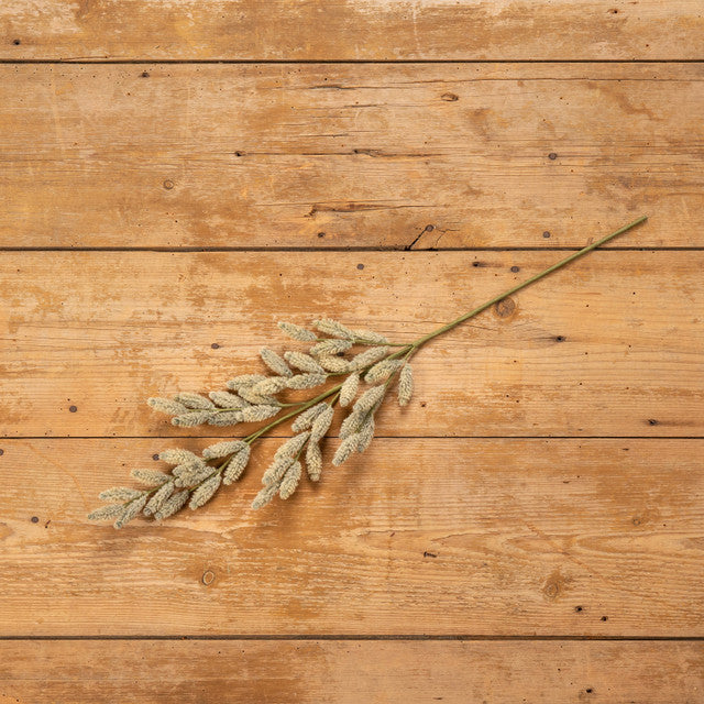 Beige Mini Pampas Grass Spray