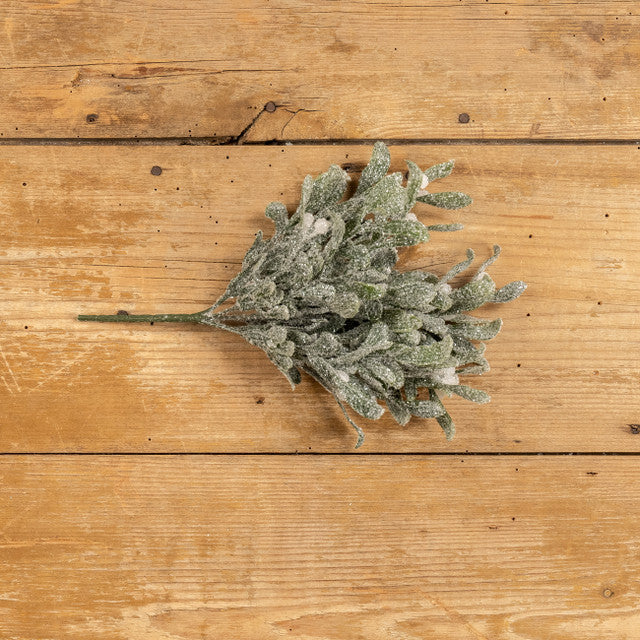 Frosted Mistletoe Bush