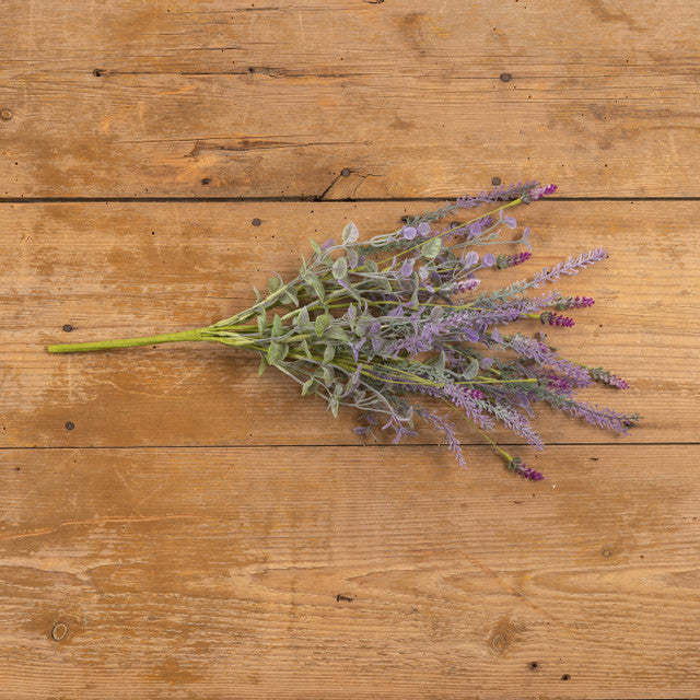 Lavender Bush