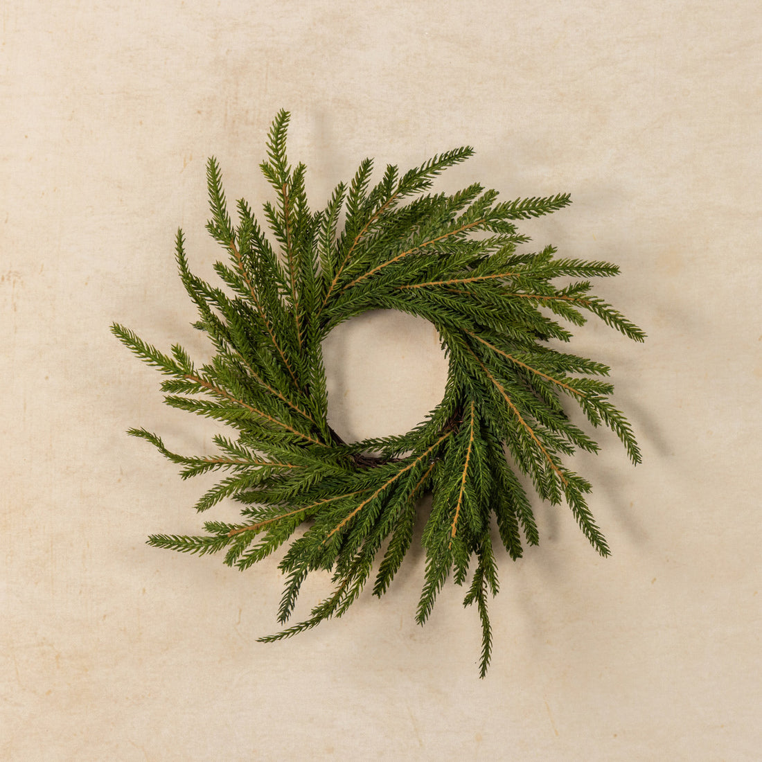 Soft Touch Norfolk Pine Ring