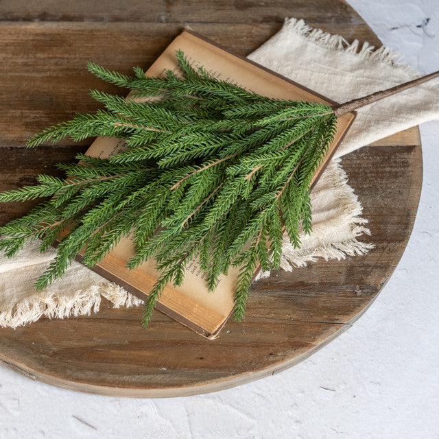 Soft Touch Norfolk Pine Pick