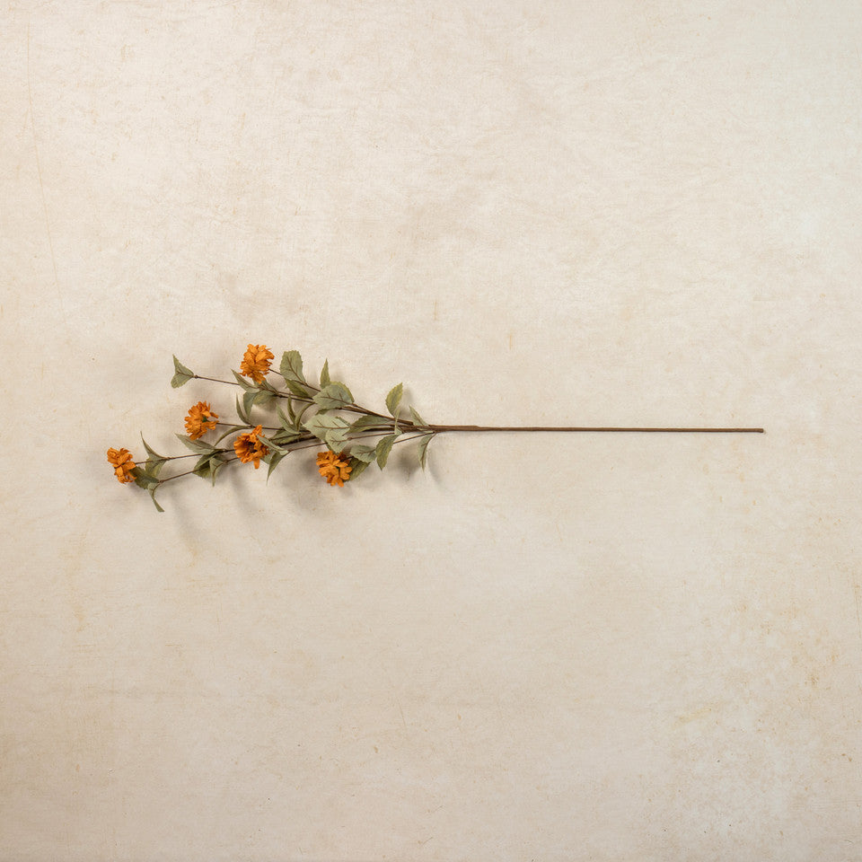 Orange Daisy Spray