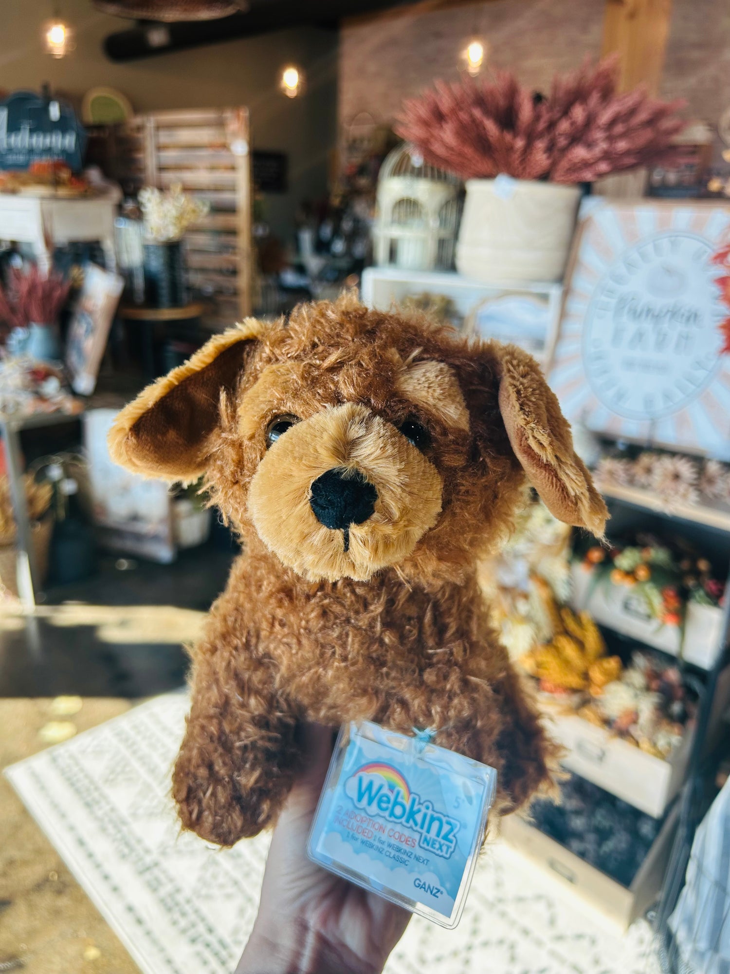 Webkinz
