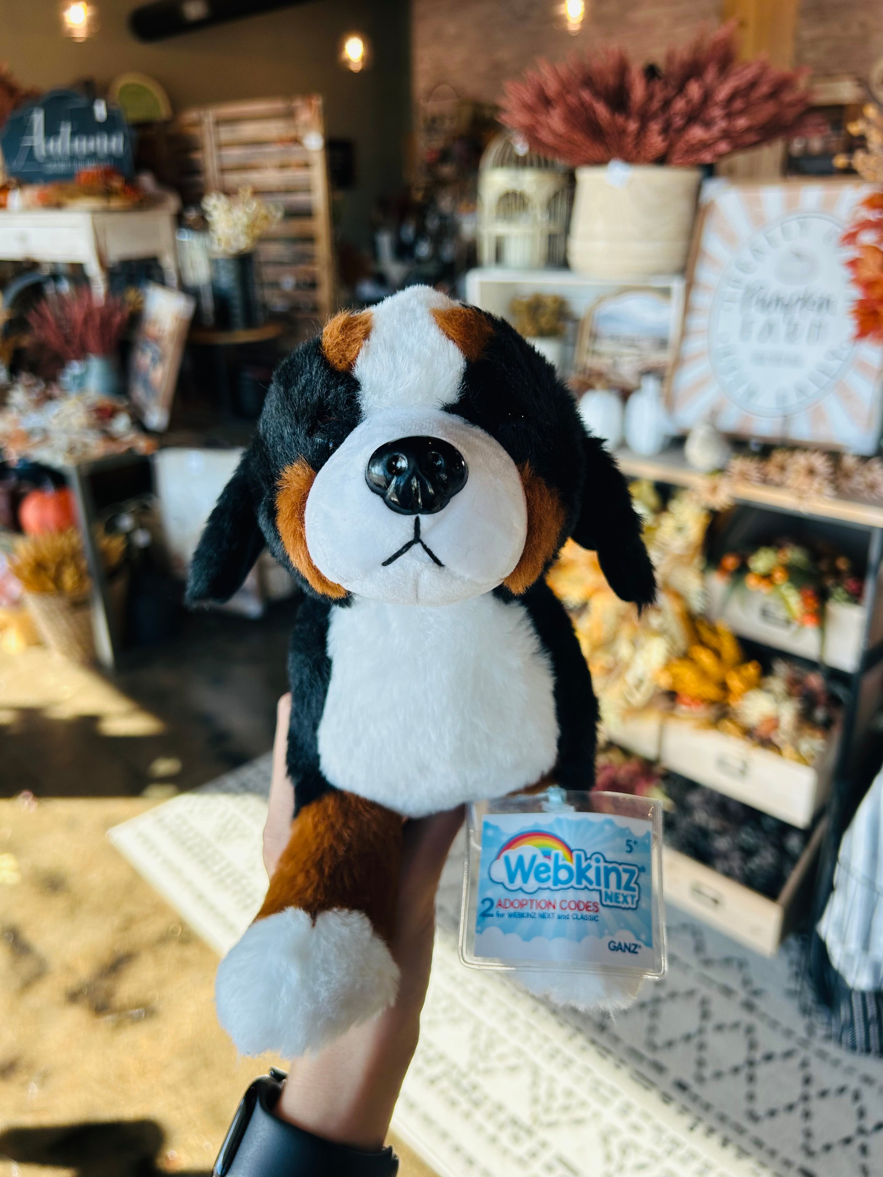 Webkinz