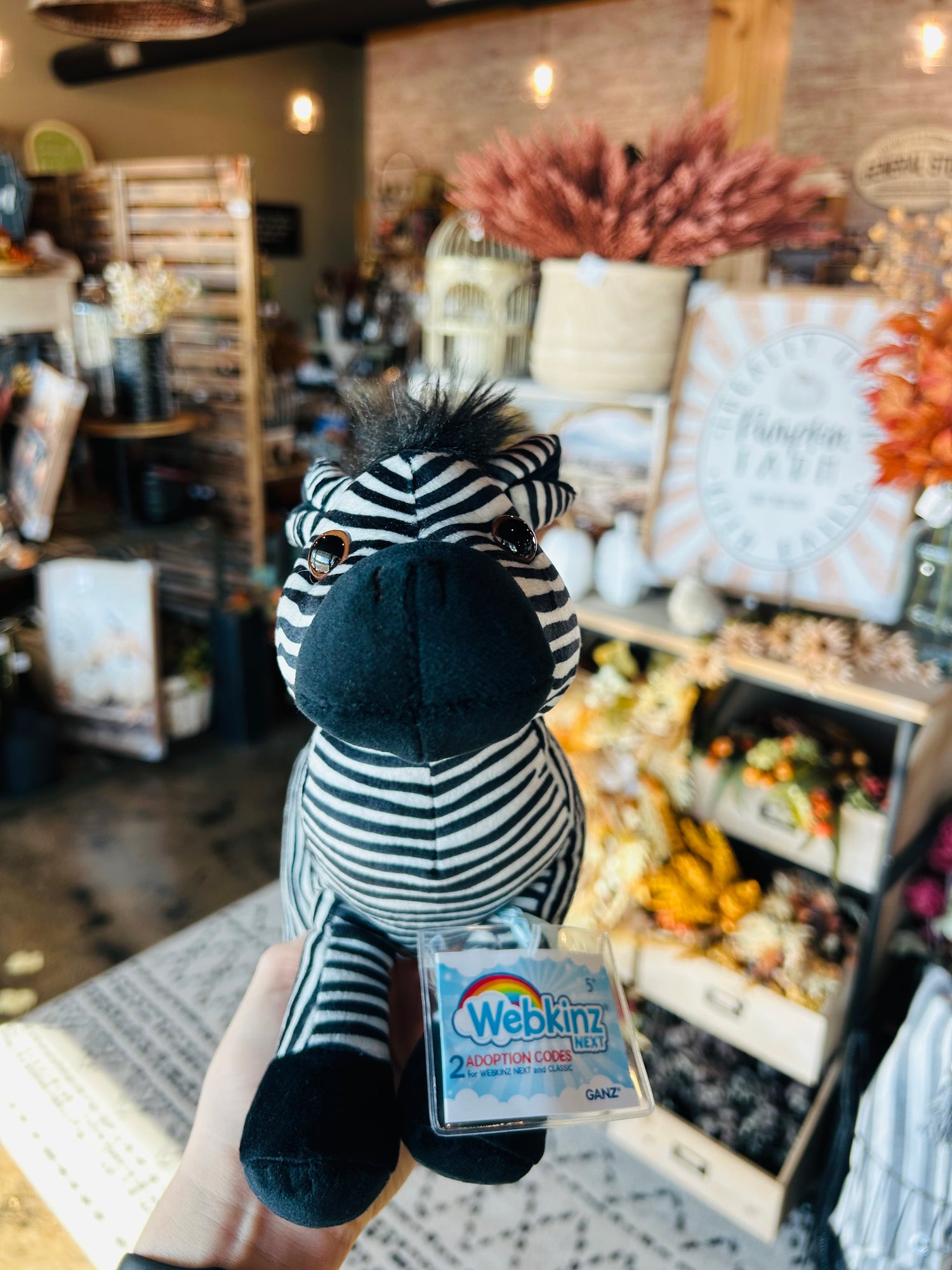 Webkinz