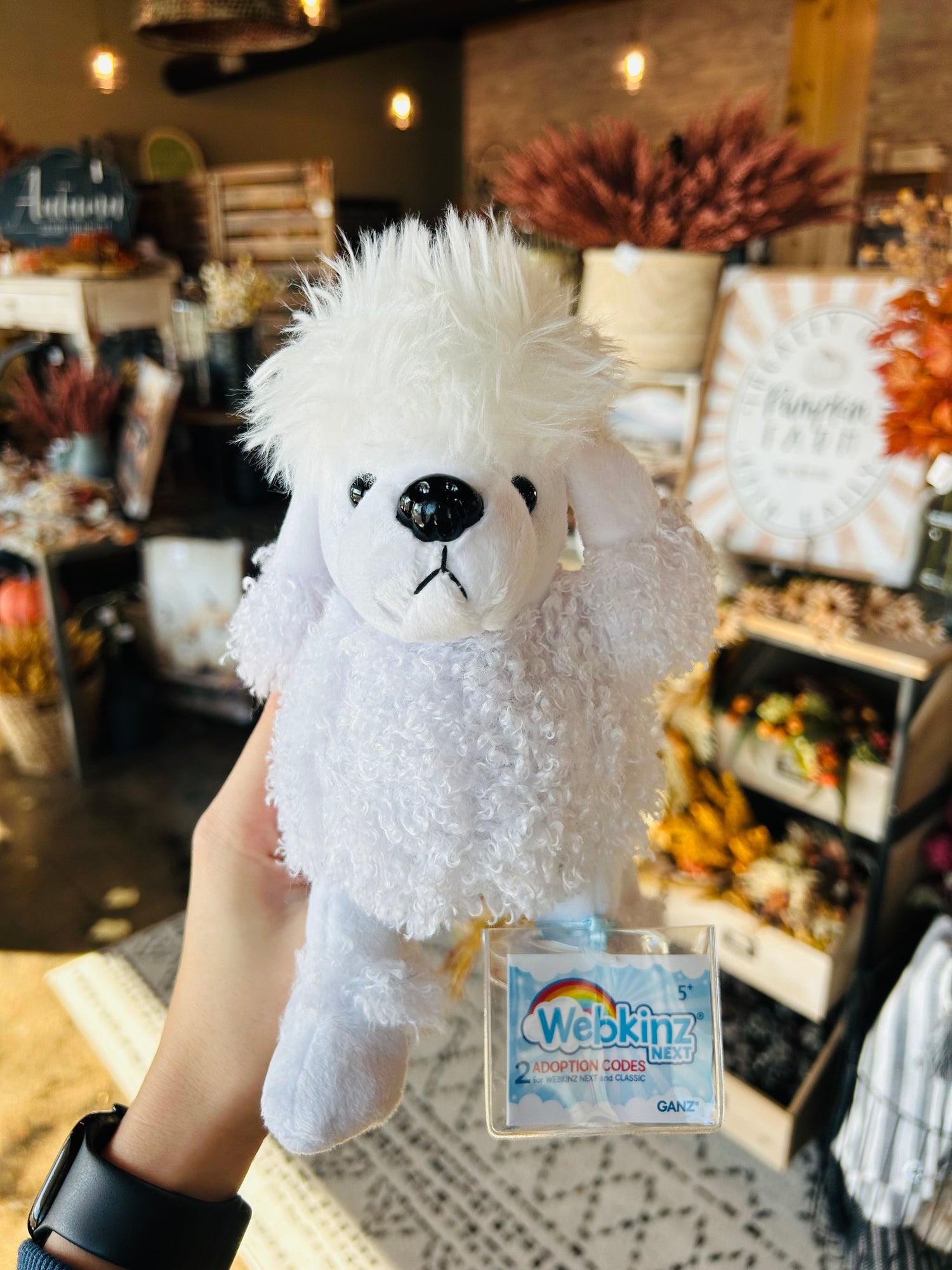 Webkinz