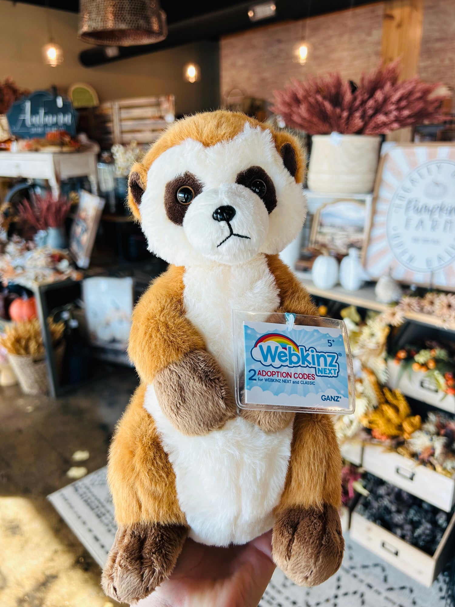 Webkinz