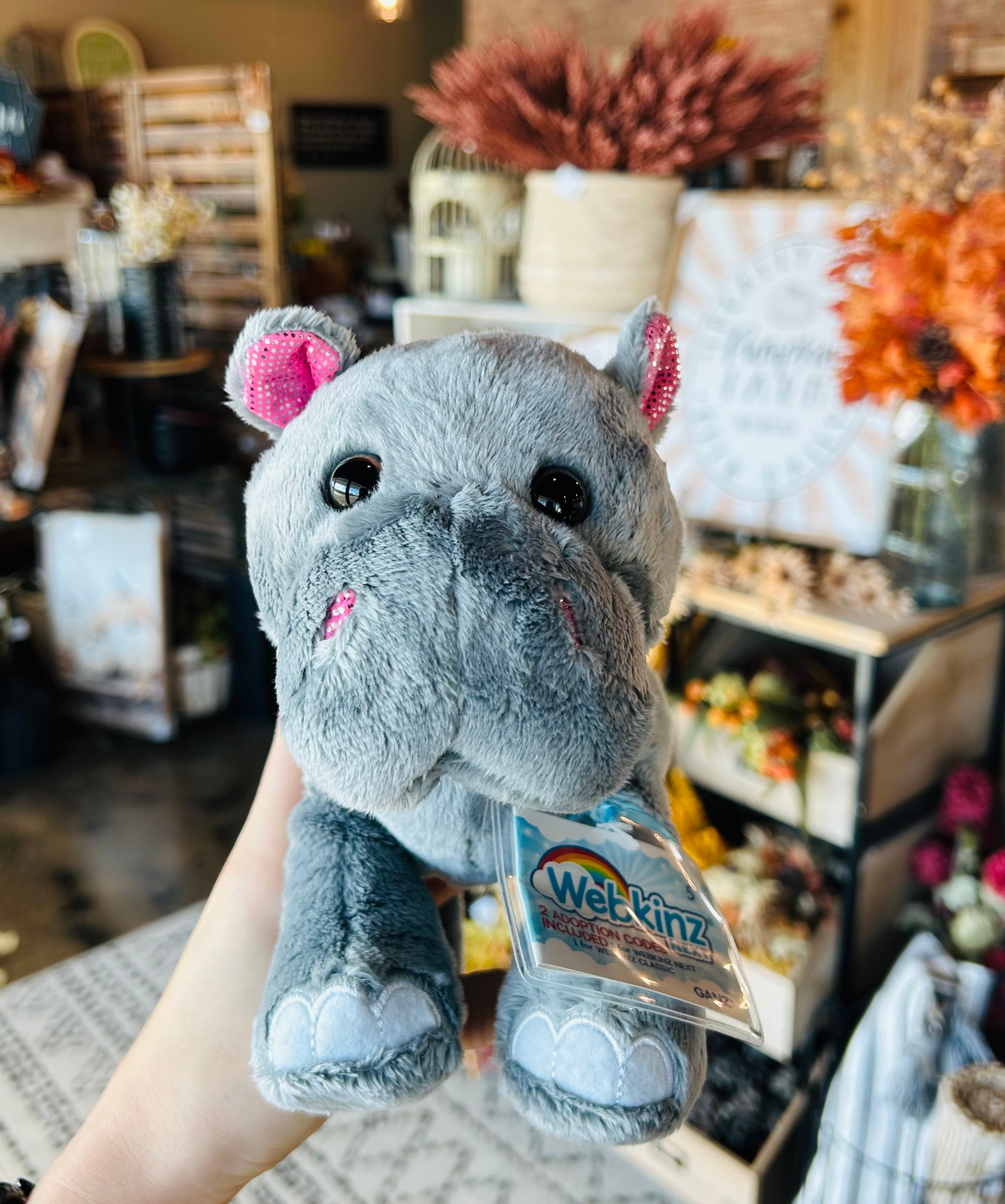 Webkinz