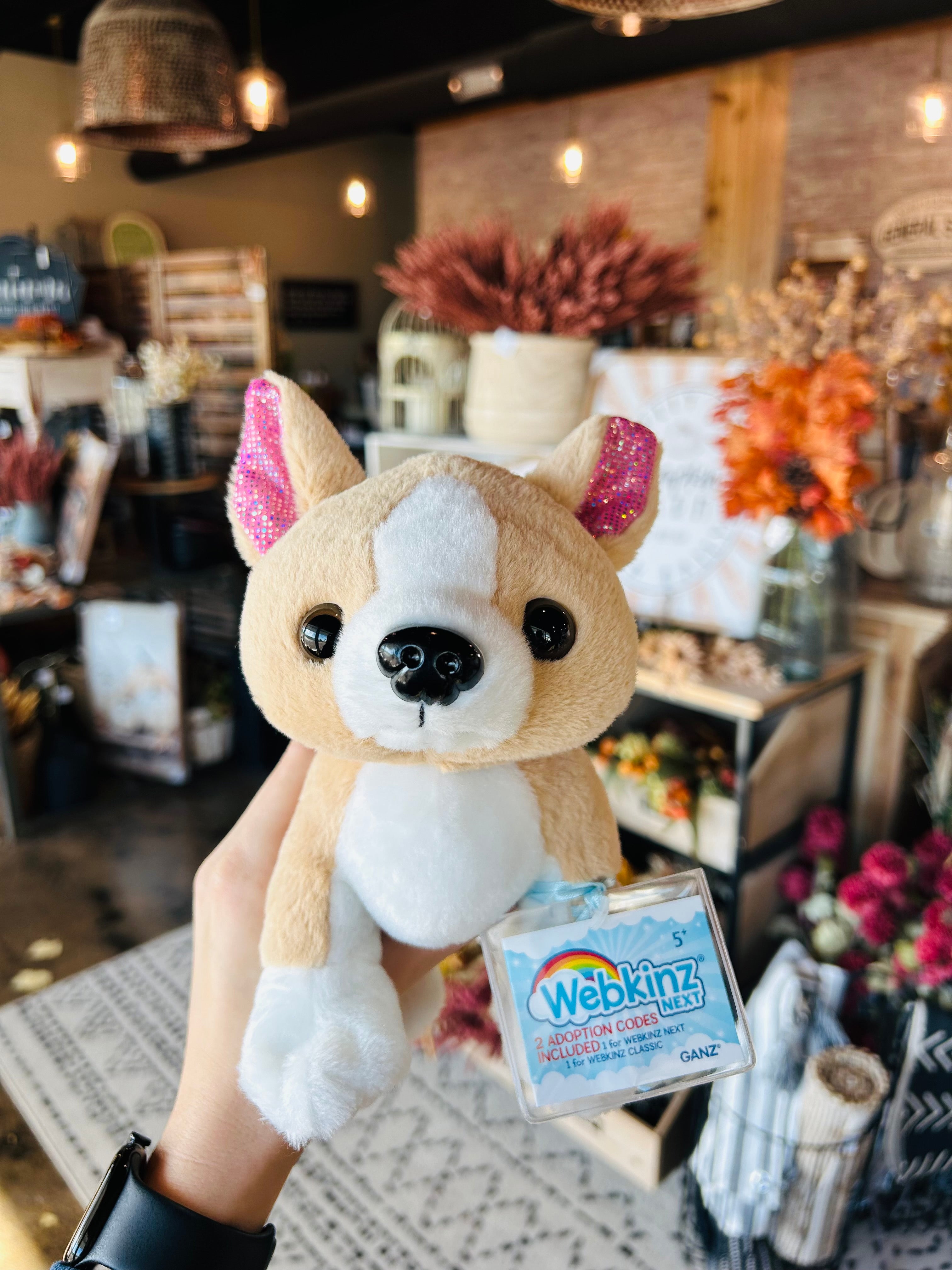 Webkinz